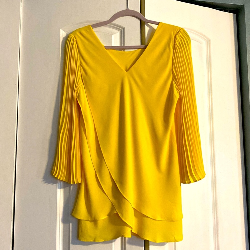 Absolutely beautiful, like new Laurie Felt blouse.